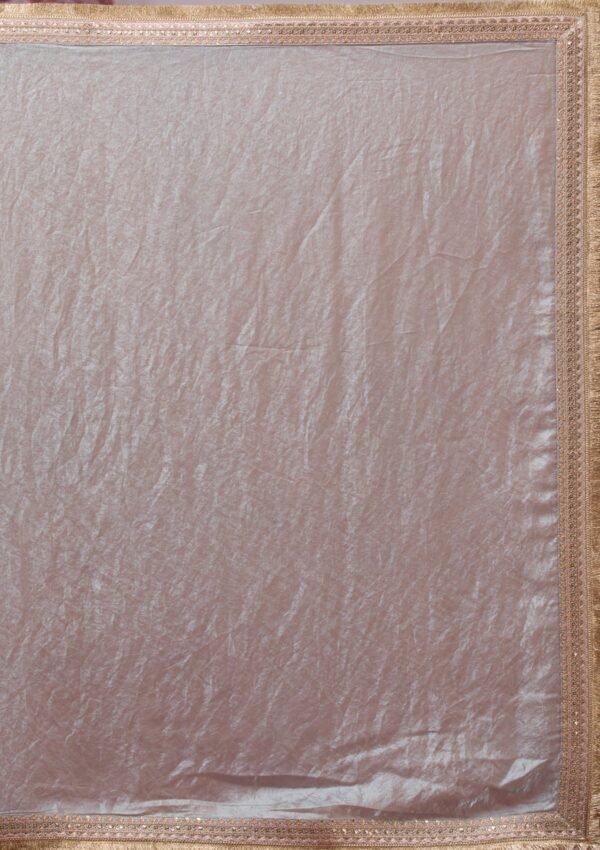 Elegant Sky Blue Threadwork Tissue Saree for a Stunning Look - Image 9