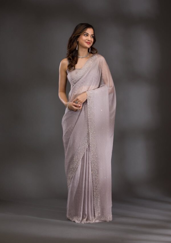 Elegant Grey and Silver Stonework Tissue Saree - Image 3