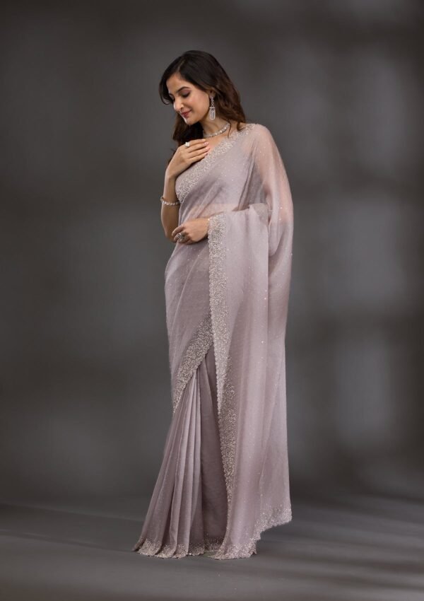 Elegant Grey Silver Stone-Studded Tissue Saree - Image 4