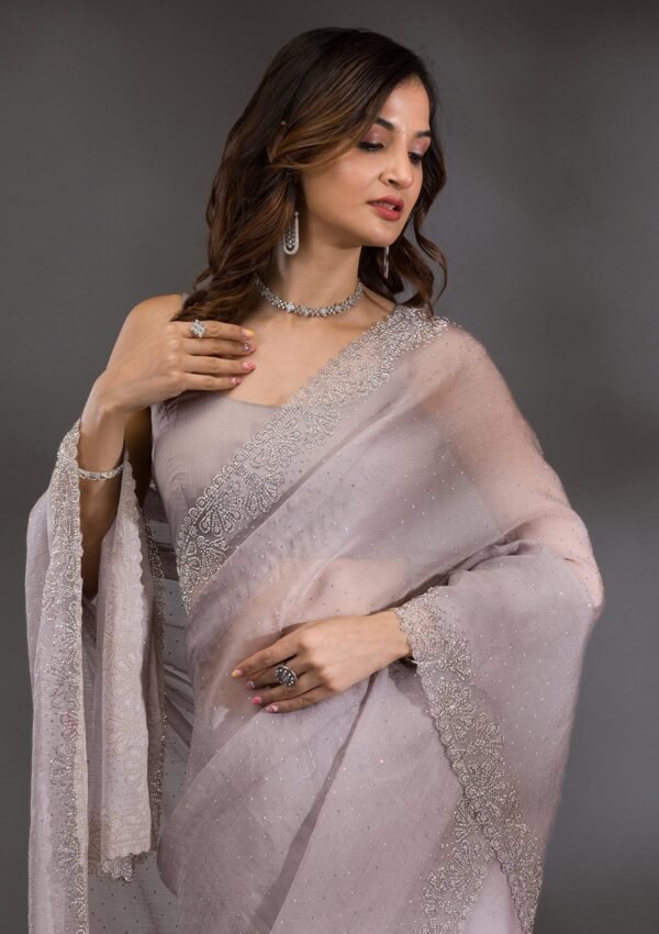 Elegant Grey Silver Stone-Studded Tissue Saree - Image 6