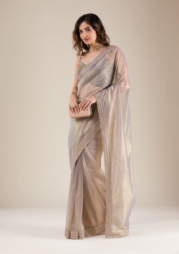 Elegant Grey Tissue Saree with Intricate Zari Work - Image 8