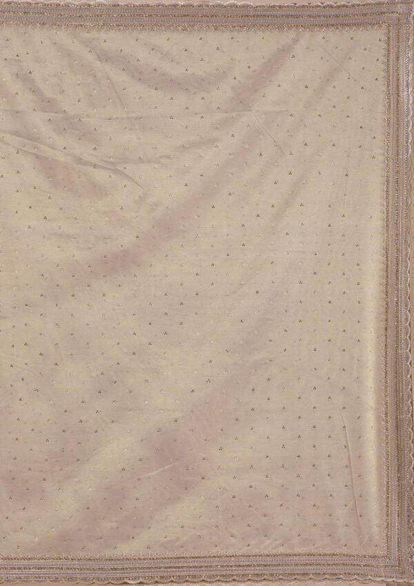 Elegant Grey Tissue Saree with Intricate Zari Work - Image 10