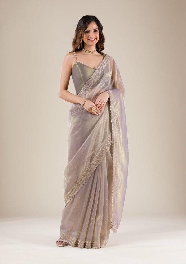 Elegant Grey Tissue Saree with Intricate Zari Work - Image 4
