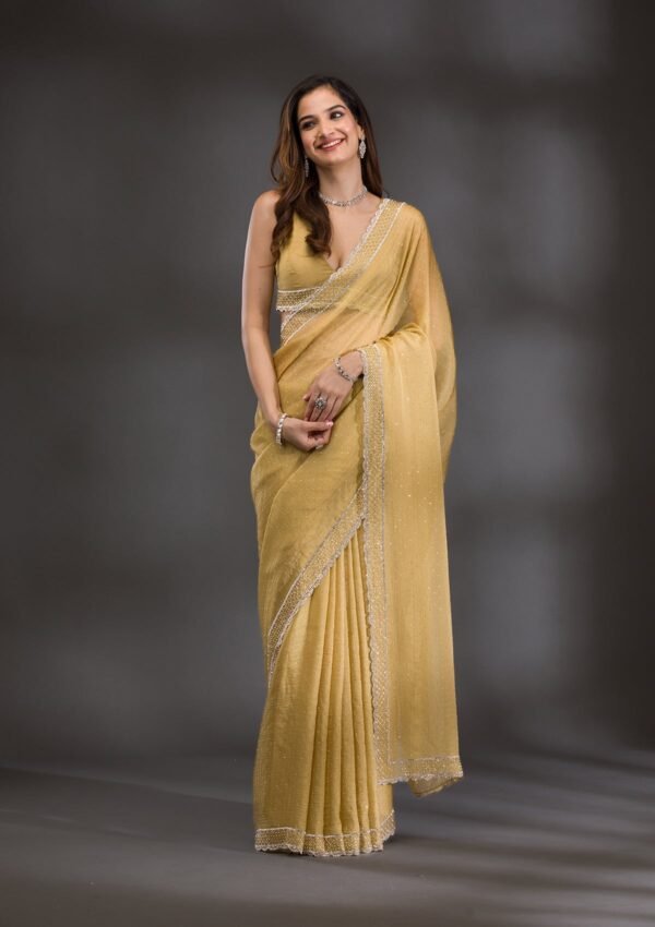 Elegant Mehendi Silver Stonework Tissue Saree for a Stunning Look