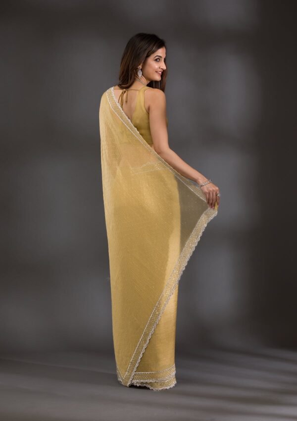 Elegant Mehendi Silver Stonework Tissue Saree for a Stunning Look - Image 2