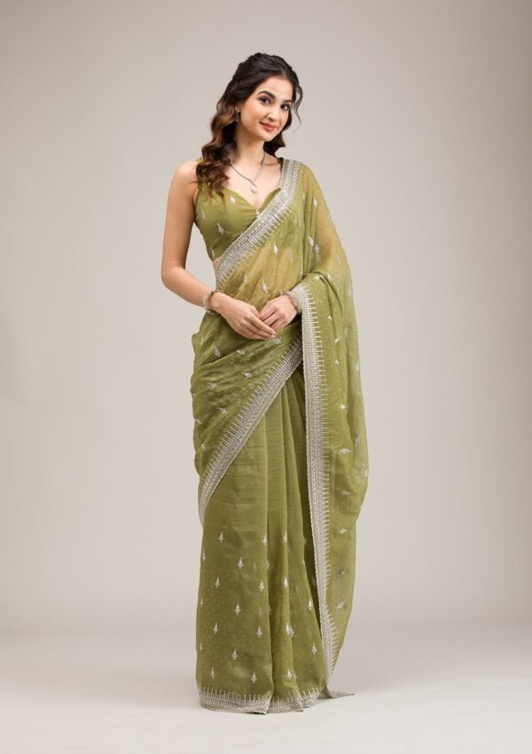 Exquisite Tissue Saree with Elegant Mehendi Zari Embroidery - Image 3