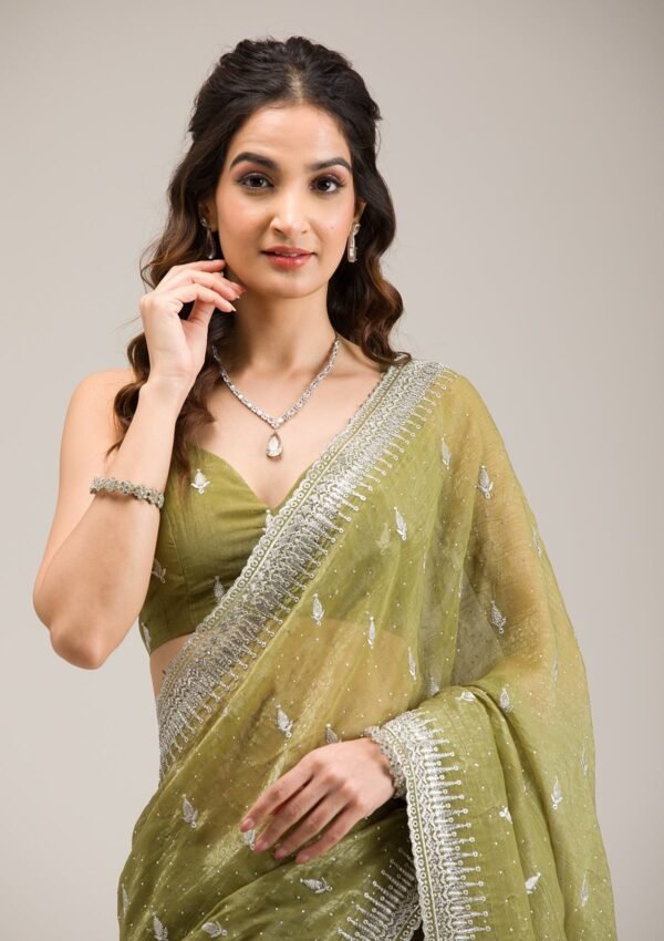 Exquisite Tissue Saree with Elegant Mehendi Zari Embroidery - Image 4