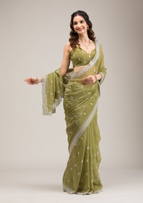 Exquisite Tissue Saree with Elegant Mehendi Zari Embroidery