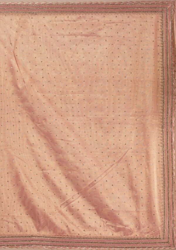 Elegant Pink Tissue Saree with Intricate Zari Work - Image 9