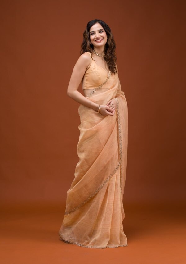 Charming Peach Tissue Saree with Elegant Prints - Image 4