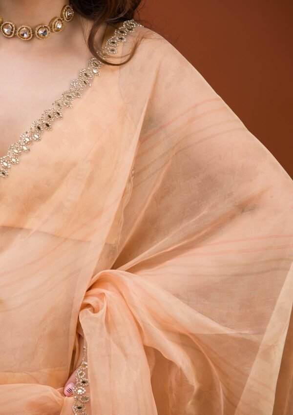 Charming Peach Tissue Saree with Elegant Prints - Image 8