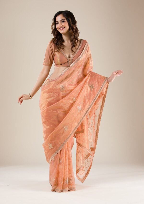 Elegant Peach Stonework Tissue Saree for Timeless Grace - Image 6