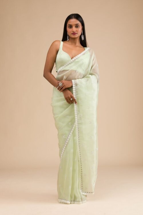 Elegant Pista Green Tissue Saree with Exquisite Zari Work