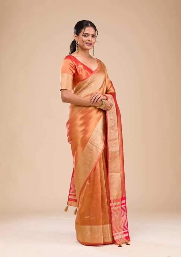 Elegant Rust Zari Embroidered Tissue Saree - Image 6