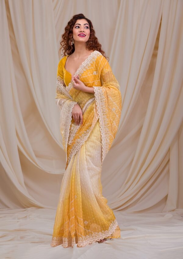 Vibrant Yellow Ombre Net Saree – A Stunning Blend of Elegance!